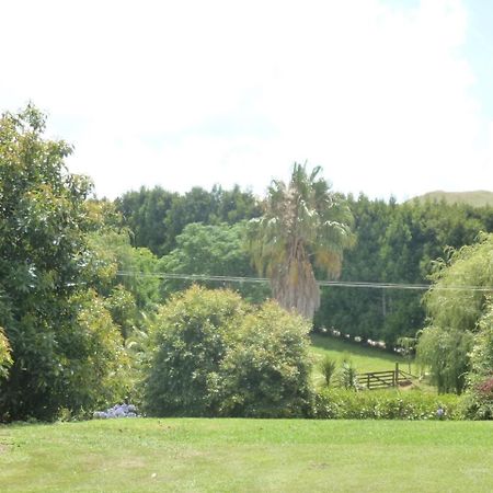 Paradise Grove Вангамата Екстер'єр фото